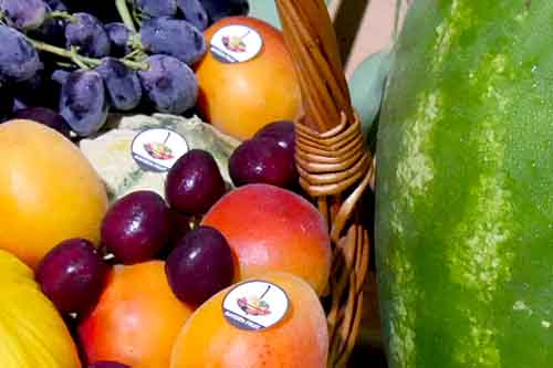 FRUTTA FRESCA