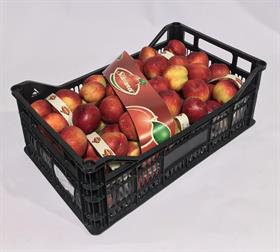 NETTARINE PASTA GIALLA ES * . CESTINO .