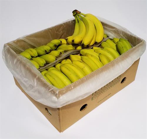 BANANE . CO . . .