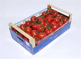 POMODORO ROSSO GRAPPOLO SICILIA IT * . . .