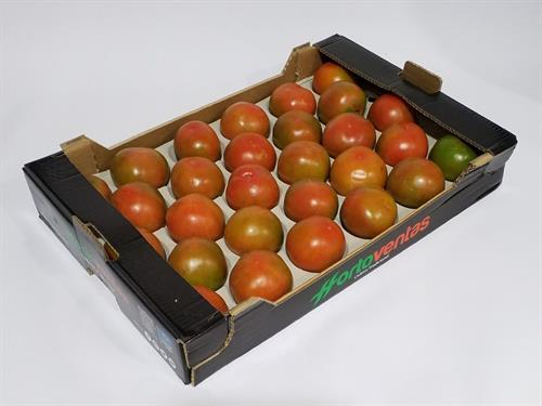 POMODORO VERDE INSALATARO IT ** . . .