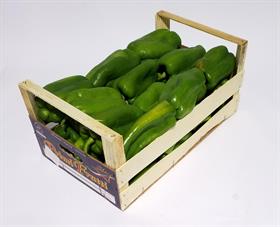 PEPERONI QUADRI VERDI IT * . . .