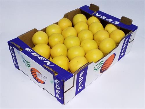 POMPELMI GIALLI ZA . . A PESO .
