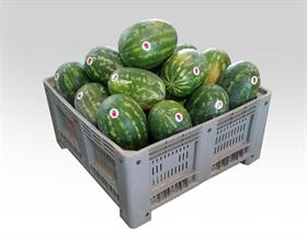 COCOMERI . IT * . BINS .