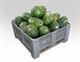 COCOMERI . IT * . BINS .