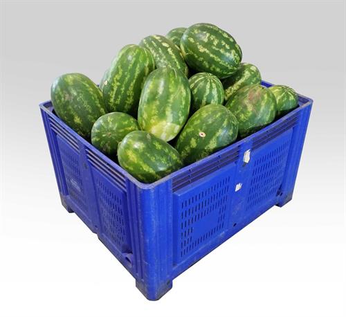 COCOMERI MARTUFELLO IT * .  .BINS