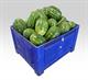 COCOMERI MARTUFELLO IT * .  .BINS