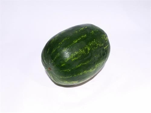 COCOMERI MARTUFELLO IT * . CASSE .