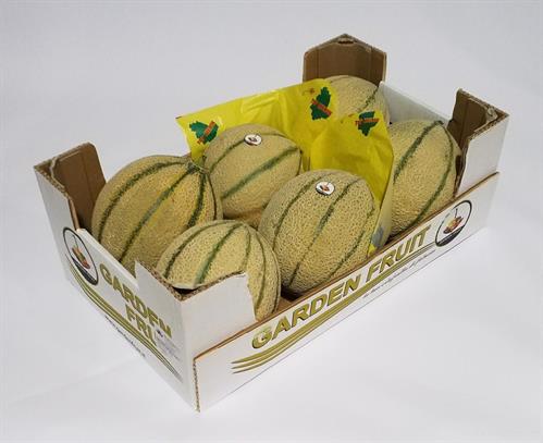 MELONI RETATI IT * .1300/1500 gr.