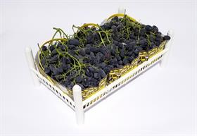 UVA NERA BLACK MAGIC PUGLIA-IT *