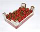 POMODORINO PICCADILLY LAZIO-IT * . . .