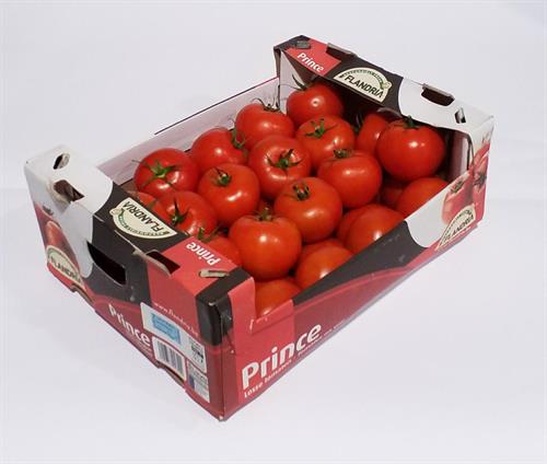 POMODORO DANIELA NL * . . .