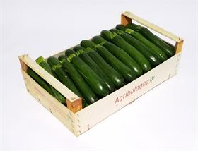 ZUCCHINE SCURE ROMAGNA-IT * . . .