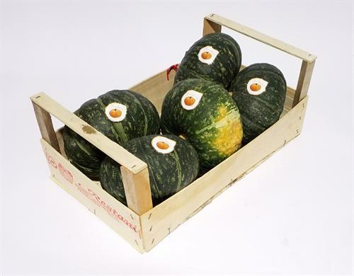 ZUCCHE VERDI DELICA IT . . . .