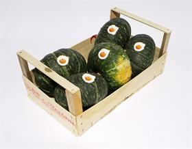 ZUCCHE VERDI DELICA IT . . . .